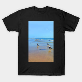 Three birds at the Beach T-Shirt